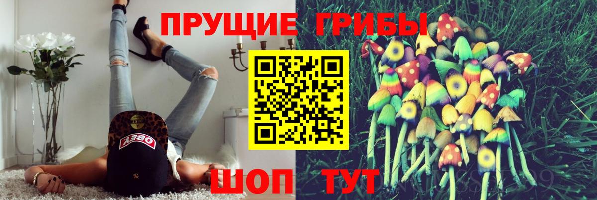 Псилоцибиновые грибы мицелий  Псилоцибиновые грибы Cubensis  Серов  Вход с VPN 